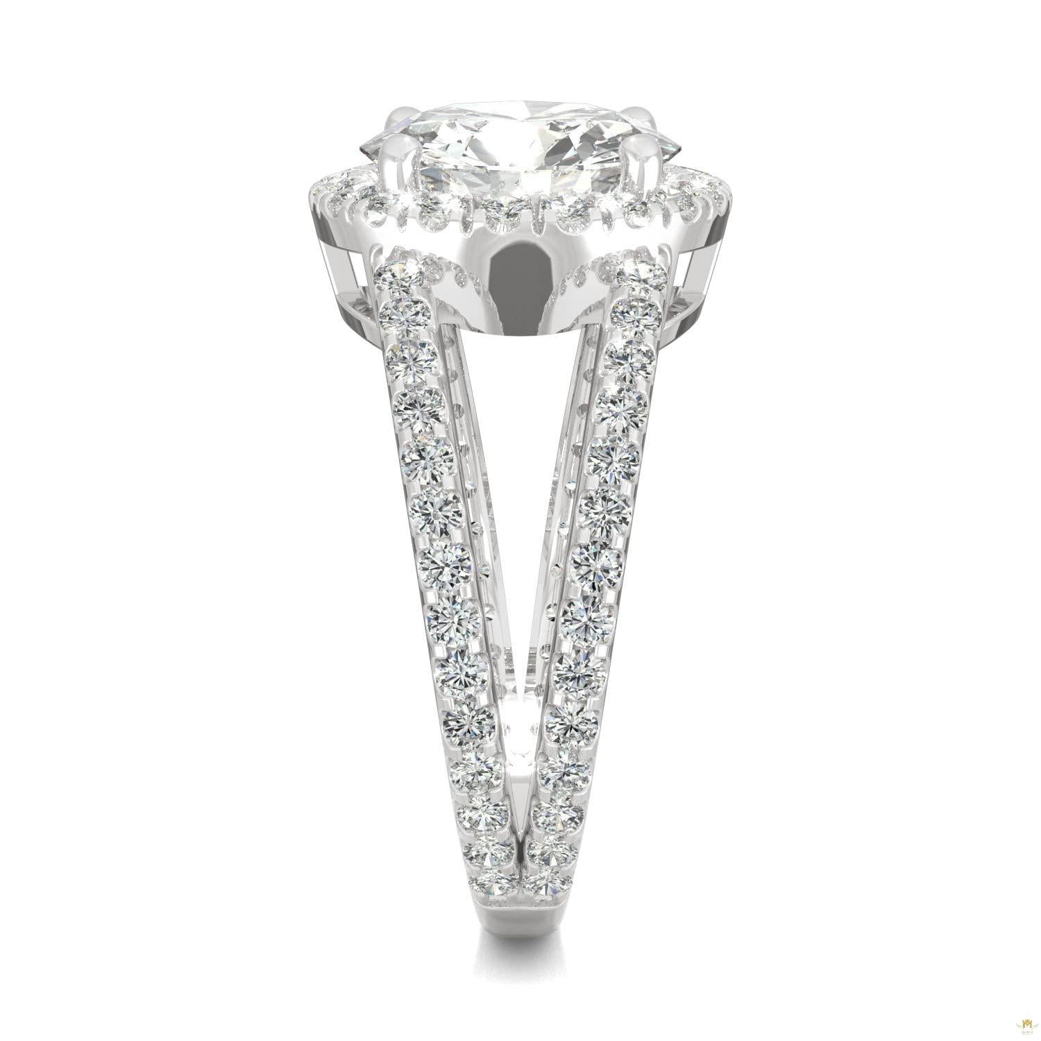 3.45 CTW   Round Moissanite Splitshank Ring in 14K White Gold