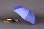 Factory Price 3-Folding Rainproof Windproof Umbrellas With Sier Coating Quick Shipment Fabric Plastic Handle Promotional Style
