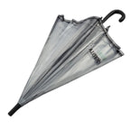 Small Customized Logo Automatic Folding Umbrella With Long Handle Transparent Straight Rod Fresh Color-for Cars