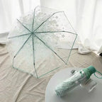 Celebrities' Choice Automatic Folded Bubble Canopy Clear Umbrella for Children Pongee Fabric Sunshade for Travel