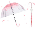 Transparent Dual-Purpose Large Automatic Long Handle Umbrella Windproof Rainproof Man Woman Style Fabric Material Popular Cheap