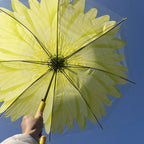 Steel Travel  POE Transparent POE Umbrella Waterproof Adult  With Long Handle Daisy Flower Leaves Umbrella for Kids