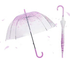 Transparent Dual-Purpose Large Automatic Long Handle Umbrella Windproof Rainproof Man Woman Style Fabric Material Popular Cheap