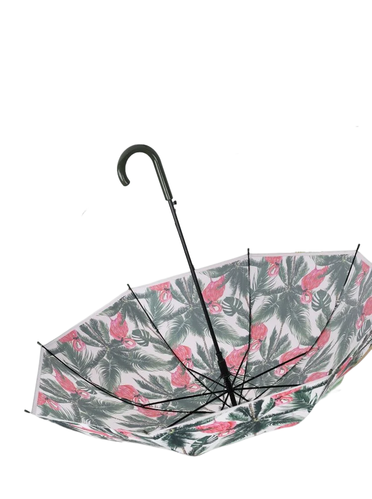 Transparent Dual-Purpose Large Automatic Long Handle Umbrella Windproof Rainproof Man Woman Style Fabric Material Popular Cheap