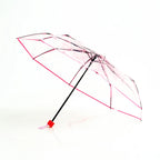 Wholesale Travel Sakura Cherry Printing Transparent 3-Folding  Umbrella Auto Open POE clear Umbrella Custom logo