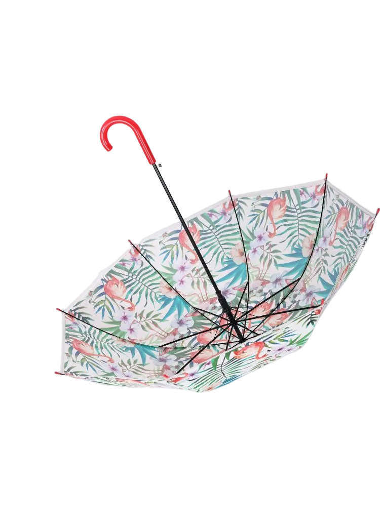 Transparent Dual-Purpose Large Automatic Long Handle Umbrella Windproof Rainproof Man Woman Style Fabric Material Popular Cheap