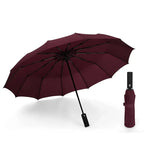 High Quality 3-Fold 10-Rib Automatic Windproof & Waterproof Custom Logo Adult Advertising Umbrella for Gifts