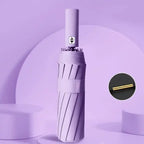 Compact Travel Folding Umbrella Windproof Rainproof Auto Open/Close Anti-UV Plastic Handle Manual Control Pongee Big Travel